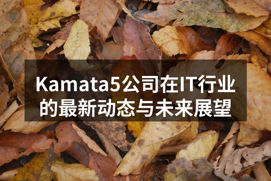 Kamata5公司在IT行业的最新动态与未来展望