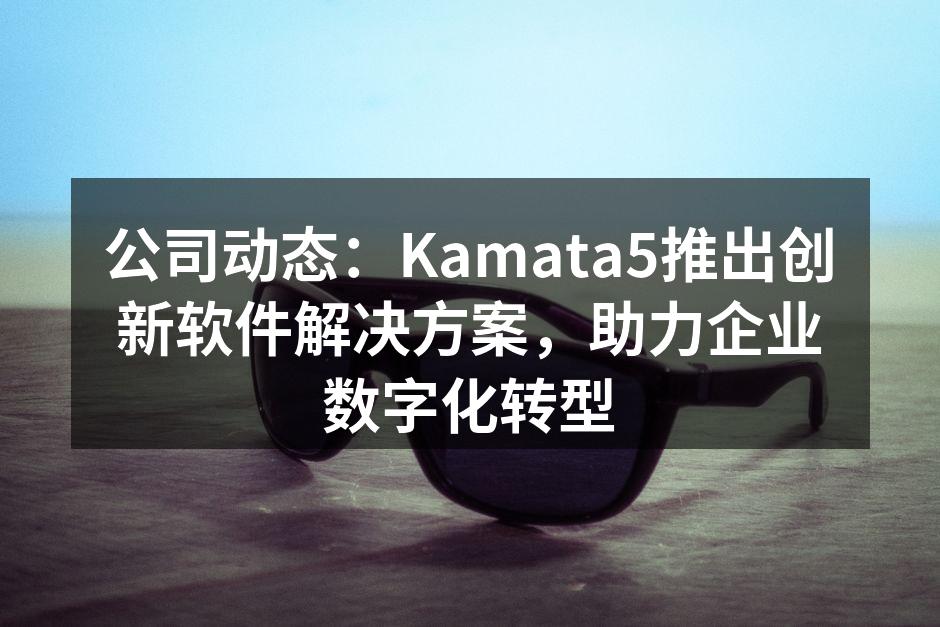 公司动态：Kamata5推出创新软件解决方案，助力企业数字化转型