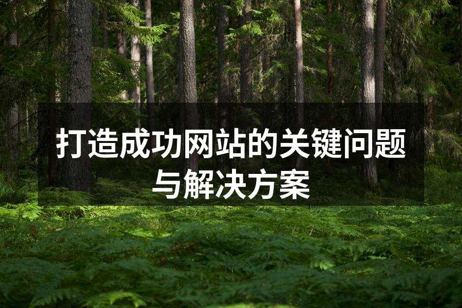 打造成功网站的关键问题与解决方案