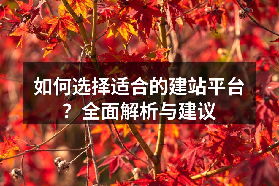 如何选择适合的建站平台？全面解析与建议
